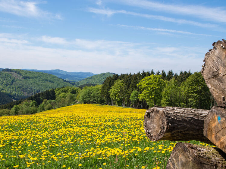Nordenau im Frühling