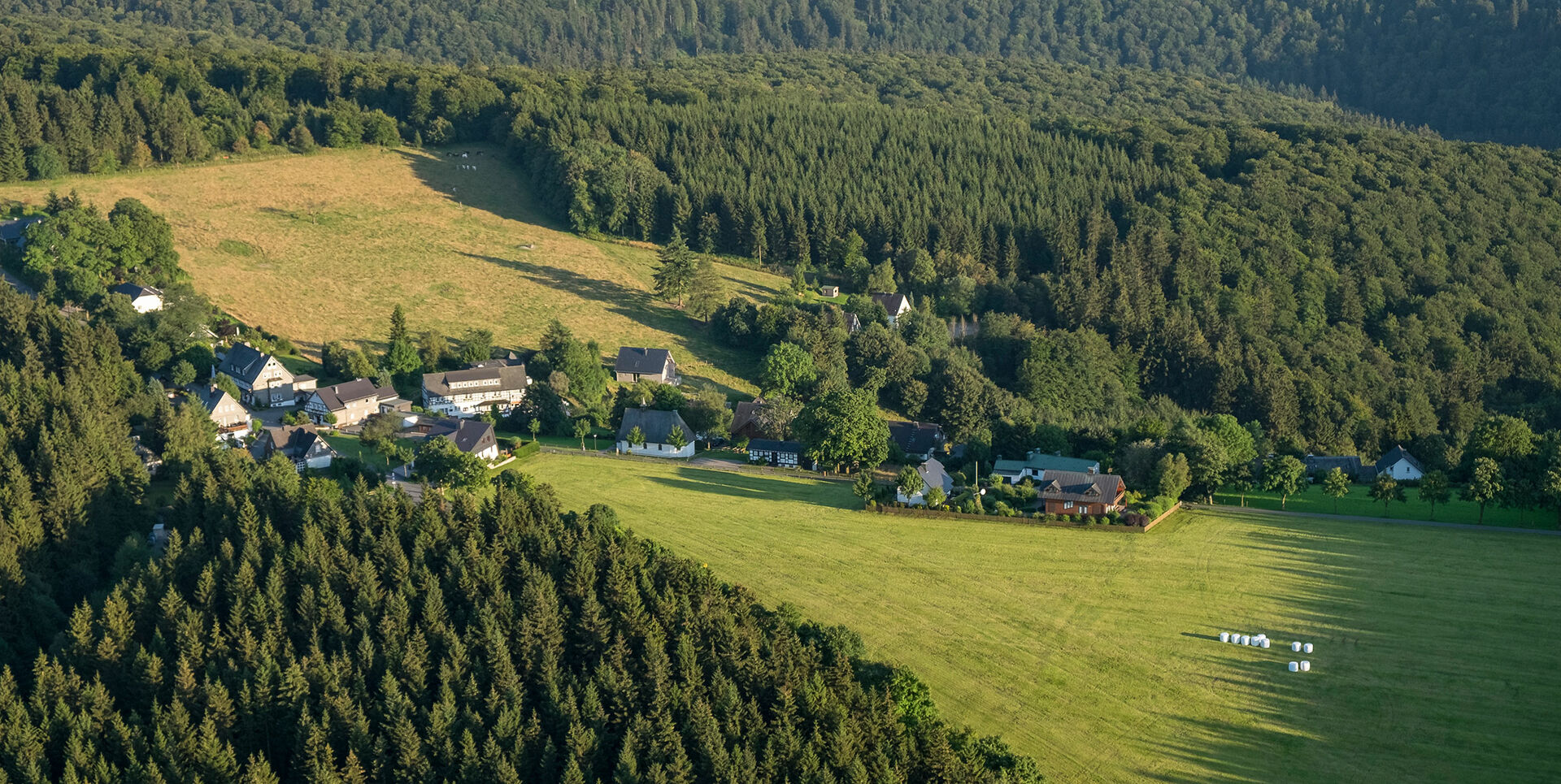 Ortsansicht von Schanze, Wald und grüne Wiesen