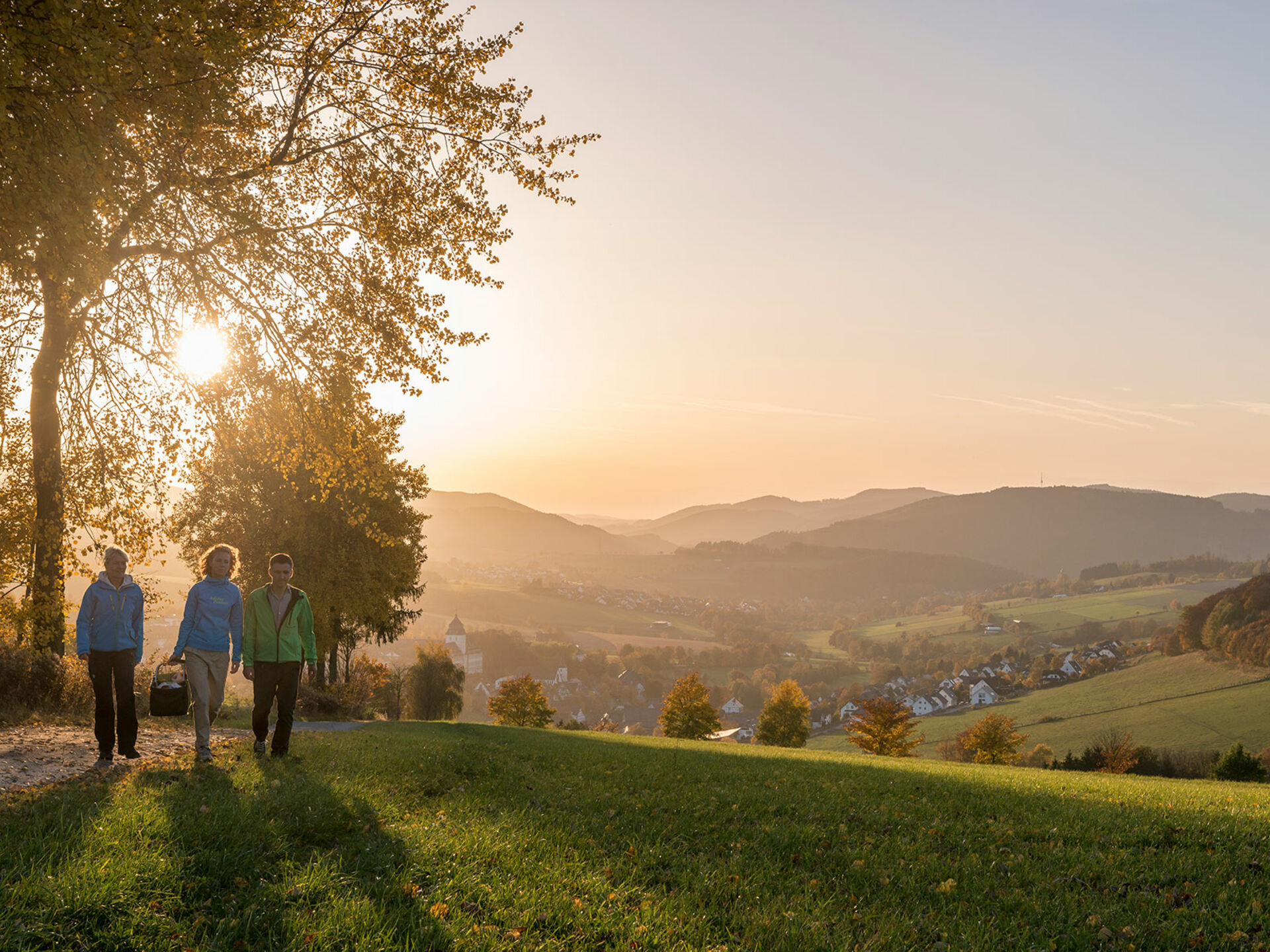 Von der Skulptur »Blinker II« des WaldSkulpturenWegs Wittgenstein-Sauerland hat man einen schönen Blick auf den Sonnenuntergang über Grafschaft im Schmallenberger Sauerland.