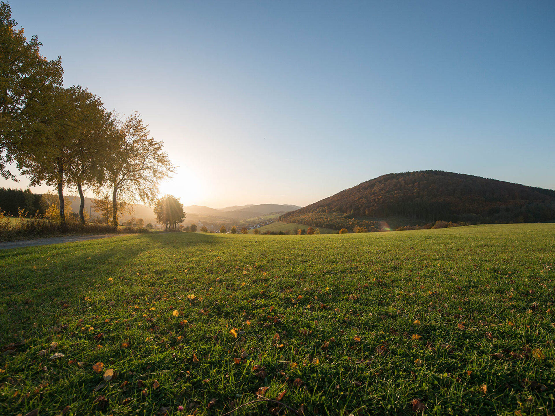 Blick auf Grafschaft und den Wilzenberg.